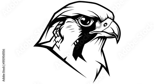 Black and white illustration of a hawk's head with sharp gaze, detailed feathers, and sharp beak from a side viewpoint