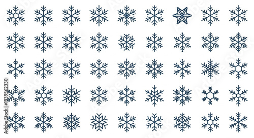 Collection of Various Snowflakes with Unique Patterns.