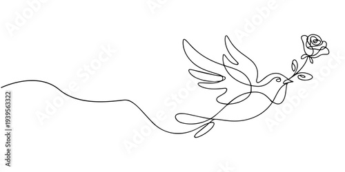 Continuous line drawing of a dove with a rose vector