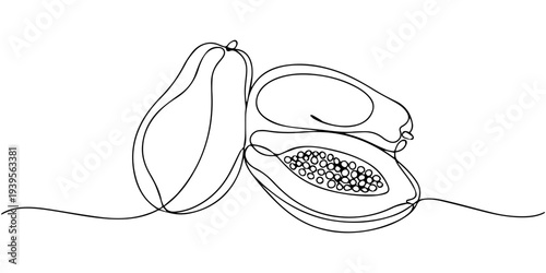 continuous one line drawing Vector line drawing of a cut open passionfruit