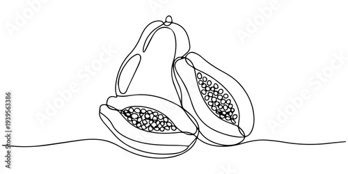continuous one line drawing Vector illustration of three passion fruits