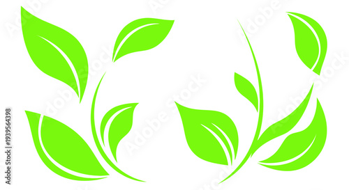 Green Leaves Sprouts, Organic Growth, Nature Elements, Eco Concept