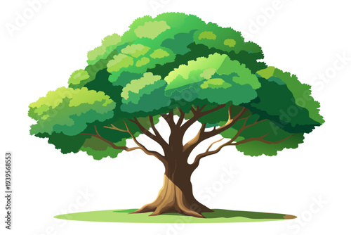 Vibrant green tree with lush foliage and sturdy trunk isolated on white background