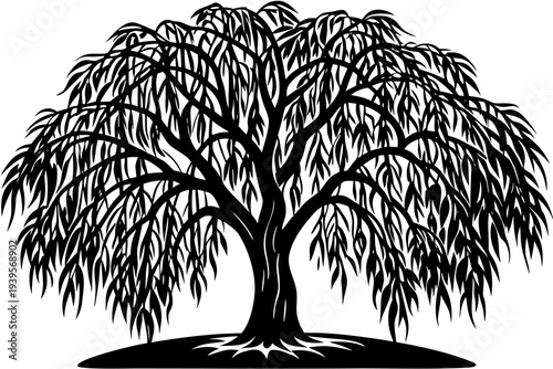 Intricate black willow tree silhouette with graceful drooping branches and leaves on white background