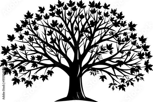 Silhouetted maple tree with intricate branch patterns and dense foliage against white background featuring detailed leaf silhouettes for nature enthusiasts