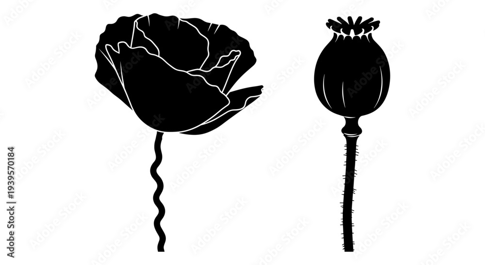 custom made wallpaper toronto digitalBlack and white poppy flower and seed pod vector illustration set, minimalist botanical silhouette design for remembrance and nature themes