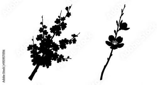 Elegant Black Silhouette Cherry Blossom Branches Vector Set with Delicate Flowers and Buds, Ideal for Spring-Themed Designs and Nature-Inspired Graphics