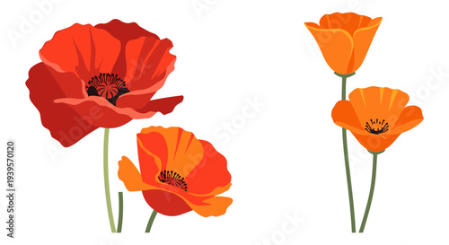 Wallpaper Mural Vibrant Red and Orange Poppy Flowers Vector Illustration Set for Spring and Summer Floral Designs, Botanical Elements for Web and Print Torontodigital.ca
