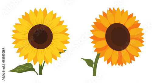 Bright Yellow and Orange Sunflower Vector Illustration Set with Green Leaves, Perfect for Summer, Nature, and Floral Designs