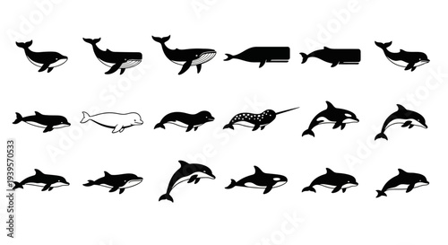 Collection of Various Dolphin Silhouettes.