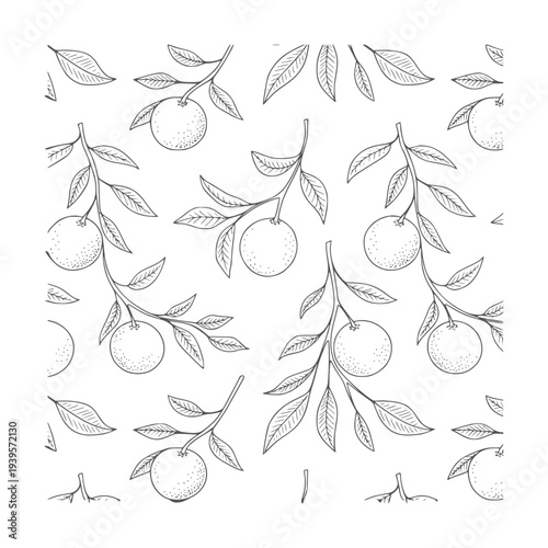Black and white line pattern of citrus fruits and leaves