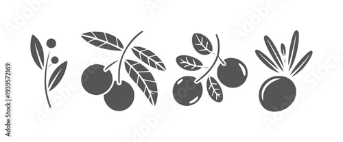 Dark grey cherry and olive branch white leaf fruit
