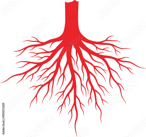 A detailed illustration of the human bronchial tree