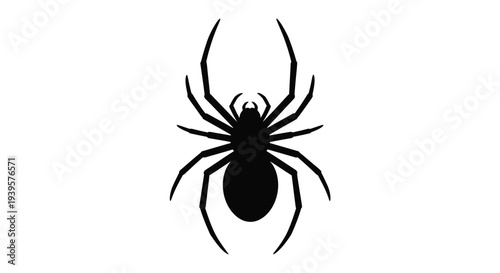 A striking black spider design with long legs a detailed silhouette