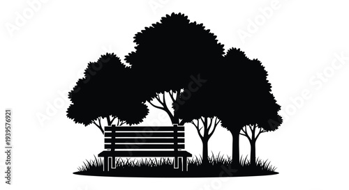 A park scene with a bench and trees in dark silhouette
