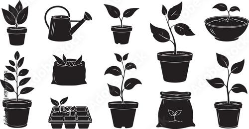 Black and white illustration of plants and gardening tools