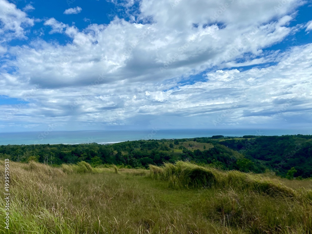 Obraz premium green grass and blue sky