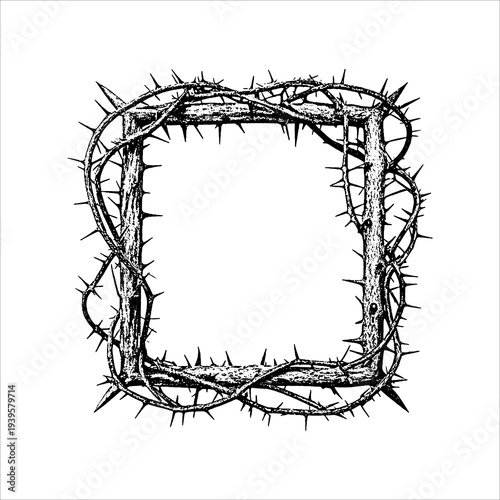 Thorn Branch Frame With Sharp Spikes Natural Border