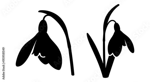 Set of 2 Black Snowdrop Flower Silhouettes Vector Illustration for Spring, Nature, and Floral Design Elements