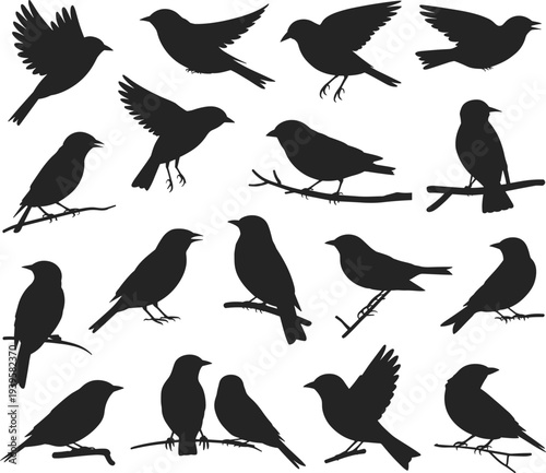 Black silhouette collection of various potted houseplants and tropical leaves isolated on white background, vector illustration for interior decoration and botanical garden nature design assets.