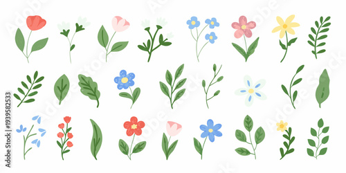 Collection of colorful hand drawn style floral and botanical illustrations