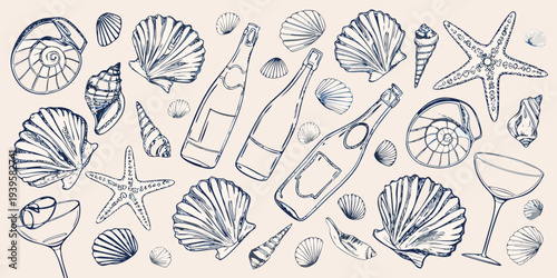 A collection of seashells wine bottles and glassware in a sketch style