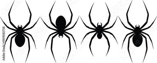 Black spider silhouettes isolated on white background, arachnid vector illustration, creepy insect design, Halloween decoration, biology pattern for stock assets