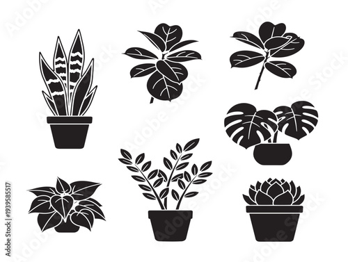 54_Indoor_Plants_silhou_1_2026025_181133.eps