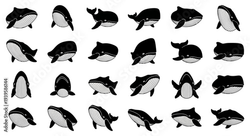 Collection of black and white orca whale illustrations in various poses and profiles on a plain white background