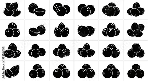 Blackberry icons set various blackberry arrangements on white background fruit symbols