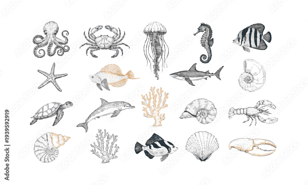 Obraz premium Nautical Marine Animals Illustration Vintage Ocean Wildlife