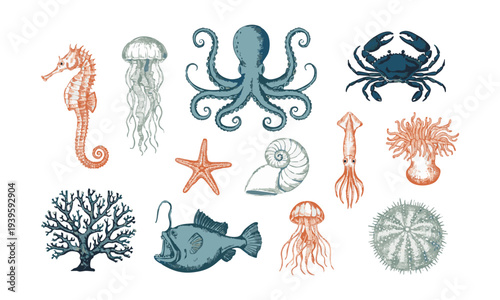  Vintage Sea Creature Illustration Ocean Animal Artwork