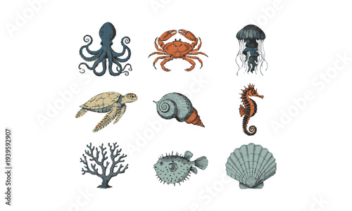 Marine Biology Animal Poster Style Vintage Illustration