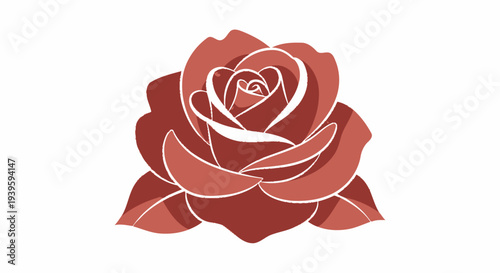 Red Rose Flower Close Up View.