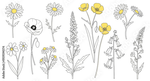 Variety of flowers on stems.