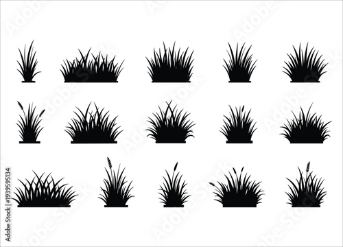 A collection of diverse grass silhouettes arranged in a grid showcasing varying heights and densities high quality professional detailed modern elegant stylish clean crisp vibrant colorful