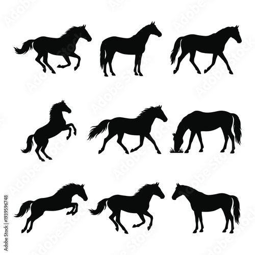 Horse Silhouette Vector Set- Nine Dynamic Equine Poses Including Running, Rearing, Jumping, and Grazing