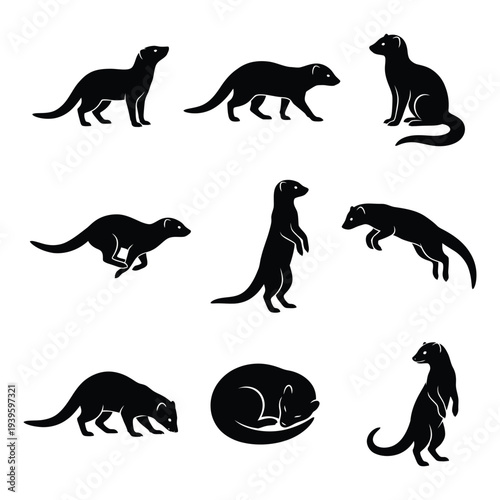 Mongoose and Meerkat Silhouette Vector Set - Various Poses and Actions