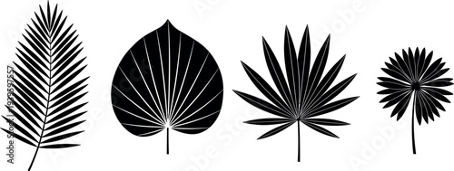 Set, of, Rustic, Farm, Animals, Easter, Eggs, Flowers, Fresh, Fruit, Line, Art, Halloween, Pumpkins, Grass, Silhouettes, and, Decorative, Nature,