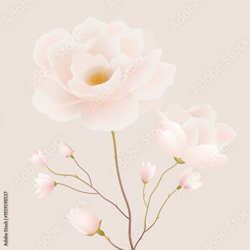 Pastel Pink Flower With Pastel Background