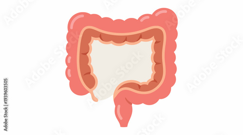 A detailed illustration of the human intestine provides insight into anatomy and health education, emphasizing the importance of digestive health in an educational context.