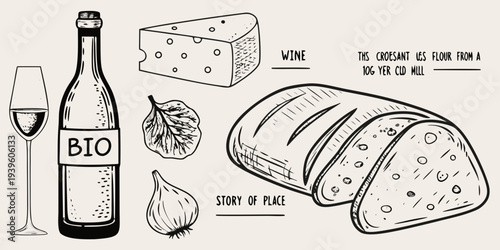 Hand drawn illustration of wine cheese bread and other food items