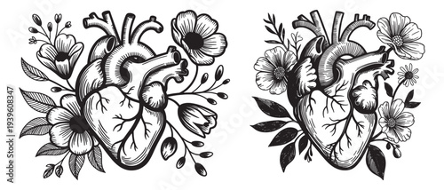 Two anatomical human hearts with floral decorations in black and white, .