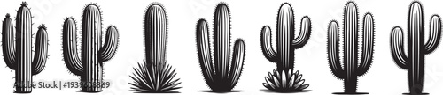 Collection of various cacti and succulent plants in black and white .