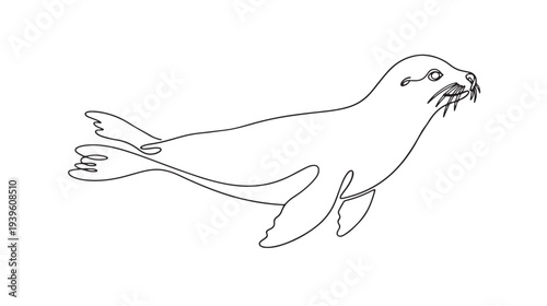 Line art illustration of a seal, a marine mammal swimming in the ocean
