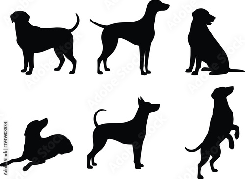 Dog silhouettes set, different breeds standing sitting lying jumping poses, pet animal vector illustration isolated on white background