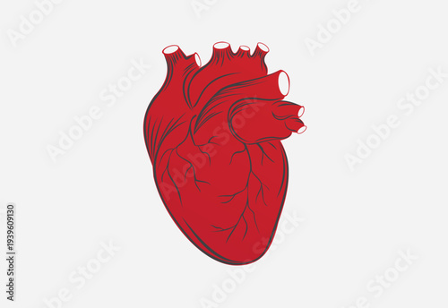 Human heart organ in  styles,  logo design templet