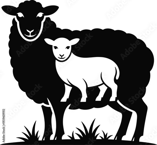 Mother sheep and lamb standing together in black and white