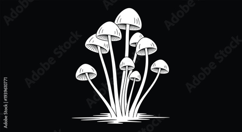 Hand-drawn cluster of wild mushrooms with fine line details displayed prominently against a solid black background for contrast.
