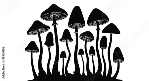 Large group of diverse mushroom silhouettes growing together in a forest arrangement against a stark white background.